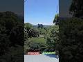 nice view plus possums