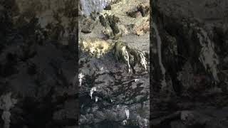 जेम्स बॉन्ड आइलैंड और सनसेट क्रूज़#youtubeshorts #shorts #naturepower #reelsindia #trending #shorts