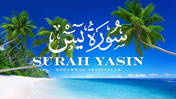 سورة يس كاملة بصوت الشيخ محمد عبيدالله تلاوة خاشعة ومؤثرة #qurantilawah