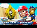 パウ・パトロール | パウ・パトロール | 子どもたちとなかまたちのレスキュー60分!🐾 | ラブル&クルー | テレビ東京系にて放送中