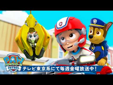 パウ・パトロール | パウ・パトロール | 子どもたちとなかまたちのレスキュー60分！🐾 | ラブル＆クルー | テレビ東京系にて放送中