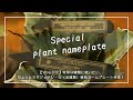 【Vlog:DIY】特別な植物に使いたい、ちょっとラグジュアリーな（金属製）植物ネームプレート作成！
