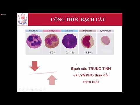 Video Đặc điểm sự tạo máu và máu ngoại vi ở trẻ em - YouTube
