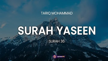 Surah YASEEN | Qari Tareq Mohammed |  سورة يس القارئ طارق محمد