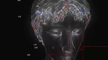 Blob Tracking and Tracing on 3d Models ｜ Touchdesigner
