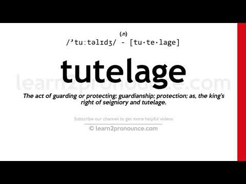 Pronunciation of Tutelage | Definition of Tutelage