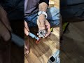 Starting a New Engine Build! (Part 1) Clutch & Gearbox 🔧⚙️ #Shorts
