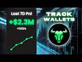 How to Track WINNING Wallets with BullX NEO