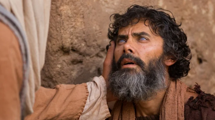 John 9 | Jesus Heals a Man Born Blind | The Bible - DayDayNews