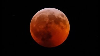 Total Lunar Eclipse With Nikon P900