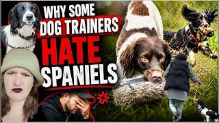 Detalles Why do some dog trainers hate spaniels 🐶 Noticias