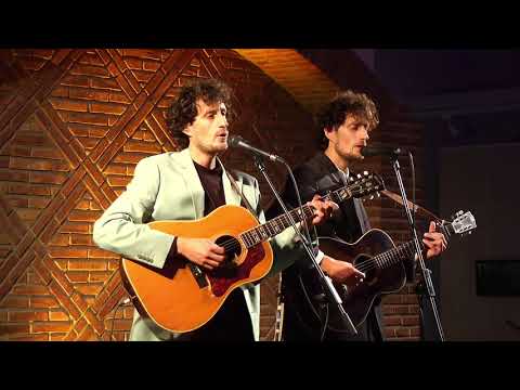 Tangerine Dove Cooing