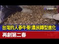 台灣的人蔘牛蒡！農民轉型進化 再創第二春