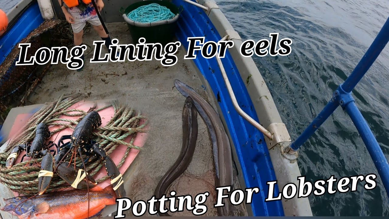 Long Lining & Potting For Lobsters