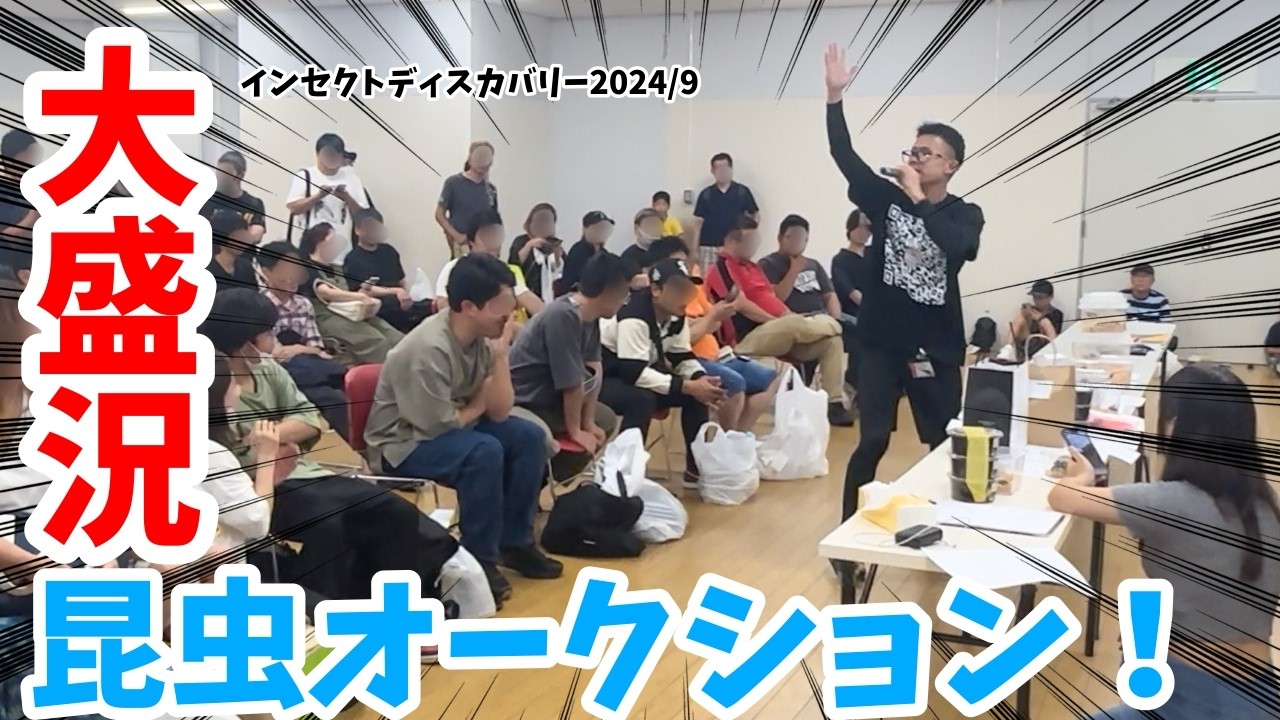 2024年9月！インセクトディスカバリーにてオークションの司会をさせて頂きました！