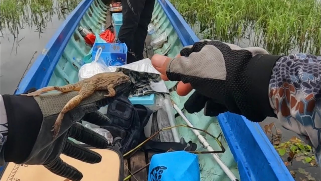 របៀបបិតនុយខ្លីកុំអោយវិល