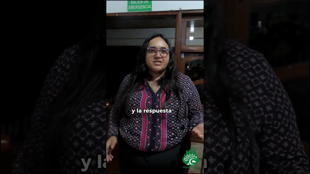 Comités Comunitarios para los 