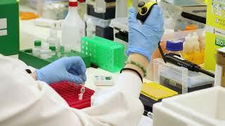 A simple blood test that could detect brain cancer with Professor Petra Hamerlik