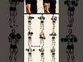 Arm workout for men || Belly fat #shorts #weightloss #fitness #bellyfat #fitnessz
