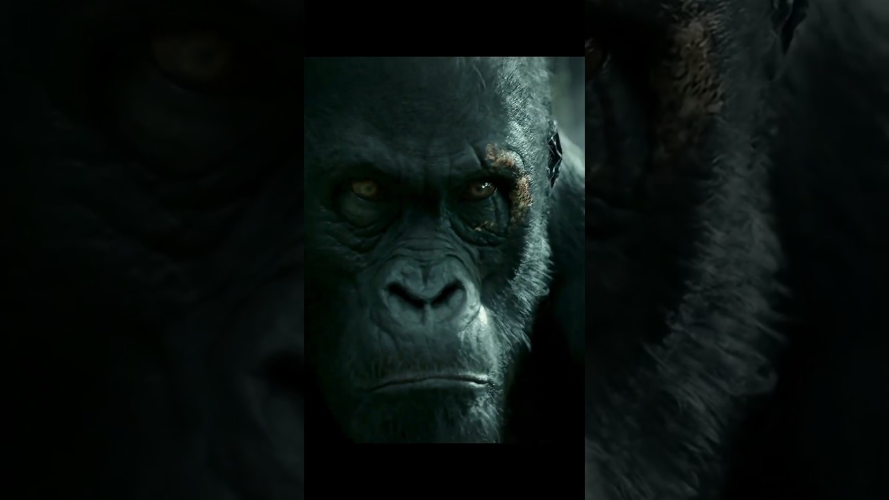 #foryou #trendingreels #viralshorts #hollywood #fyp #moviereview #shorts