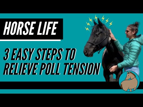 3 Easy Steps To Relieve Poll Tension - Horse Life - Episode 5