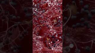 Это живет в твоем холодильнике #microworld #грибы