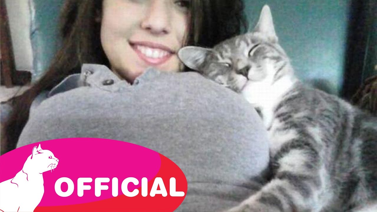 funny cat videos - epic cat #7 