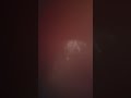 #funny #news #movie #yt #comedy