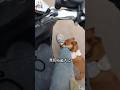 犬の首に棒をつける理由