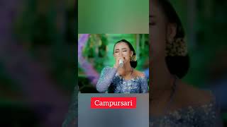 Kembang Wanginiken Salindryshort cdanursari