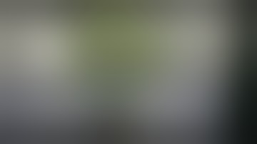 DWC Grow your own week 3 Flower February 16, 2020