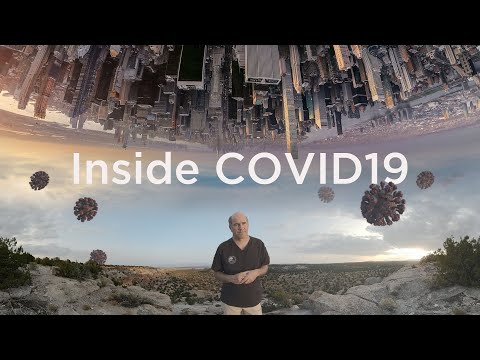 Inside COVID19 - cropped 2D HD-format