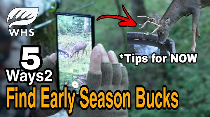 How To Hunt Early Season Bucks
