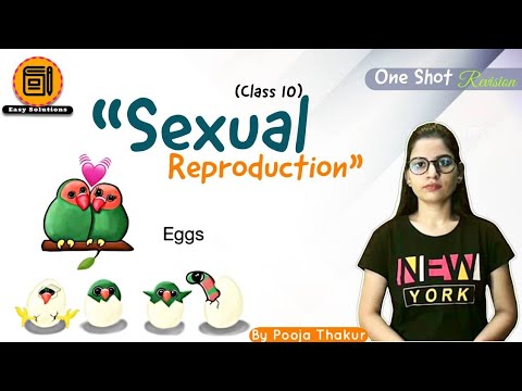 One Shot revision on How do organisms Reproduce | Sexual Reproduction | Pooja Thakur