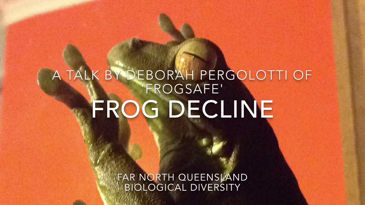 frog-decline-deborah-pergolotti-from-frogsafe-speaks-for-our-frogs
