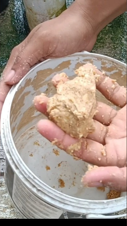 Pasang Umpan jebakan ikan pakai botol bekas