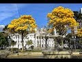 Walking in Curitiba City | Brazil HD