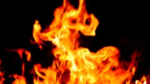 Burning Down My Palm Tree