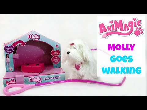 animagic walking dog