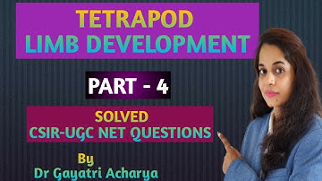 TETRAPOD LIMB DEVELOPMENT /PART-4/ DORSAL-VENTRAL AXIS OF THE LIMB/ CSIR-NET/ Dr Gayatri Acharya