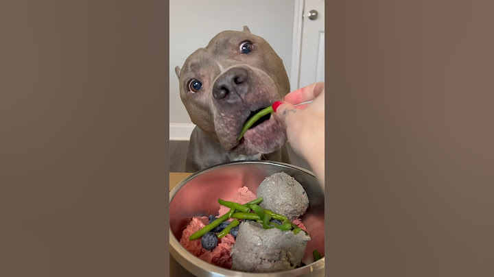 Raw Diet for Dogs