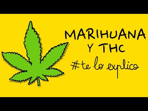 Vídeo: Todo Lo Que Debes Saber Antes De Ir A Un Estado Con Marihuana Recreativa