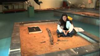 Researching the Ichthyosaur