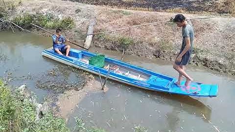 Cá chốt thiên nhiên nhiều quá các bạn ơi