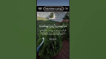 تلاوة عطرة من كتاب الله الكريم بصوت القارئ عبدالباسط عبدالصمد #المصحف #اكسبلور #لايك #تيك_توك #ترند