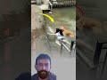 حين يظن القلب أن النهاية اقتربت تتنز ل رحمة الله فت بد ل القدر نجاة وأملا