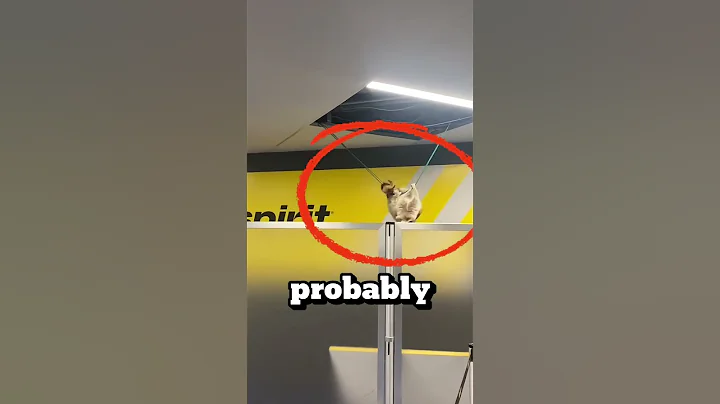 Is Spirit airlines REALLY that bad?! 🤔 #spiritairlines #aviation #airlines