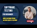 Software Testing in Hindi | What is Software Testing? | Manual Testing for Beginners (Hindi)"