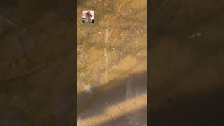 NewClip