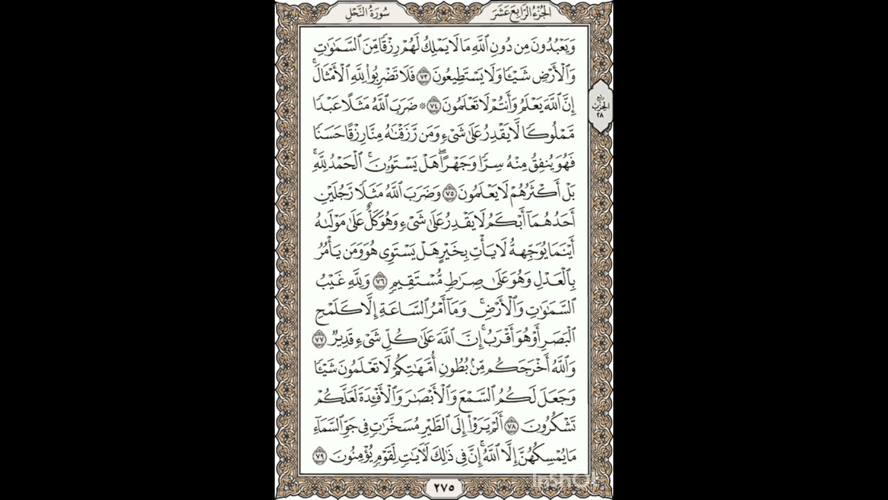 Al-Quran - Page 275 Full Recited By Shaykh Mishary Bin Rashid Alafasy